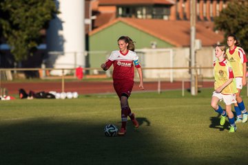 Bild 248 - C-Juniorinnen Alveslohe - KT : Ergebnis: 0:23